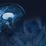 GEN y Sulfateq anuncian resultados positivos en fase 1 del fármaco SUL-238 para el Alzheimer